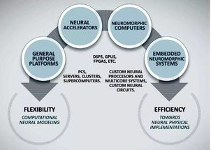 神經網絡 技術發展、未來挑戰與網絡技術開發的交匯點